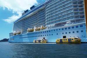 Bay of Islands 31oct2019 (268)